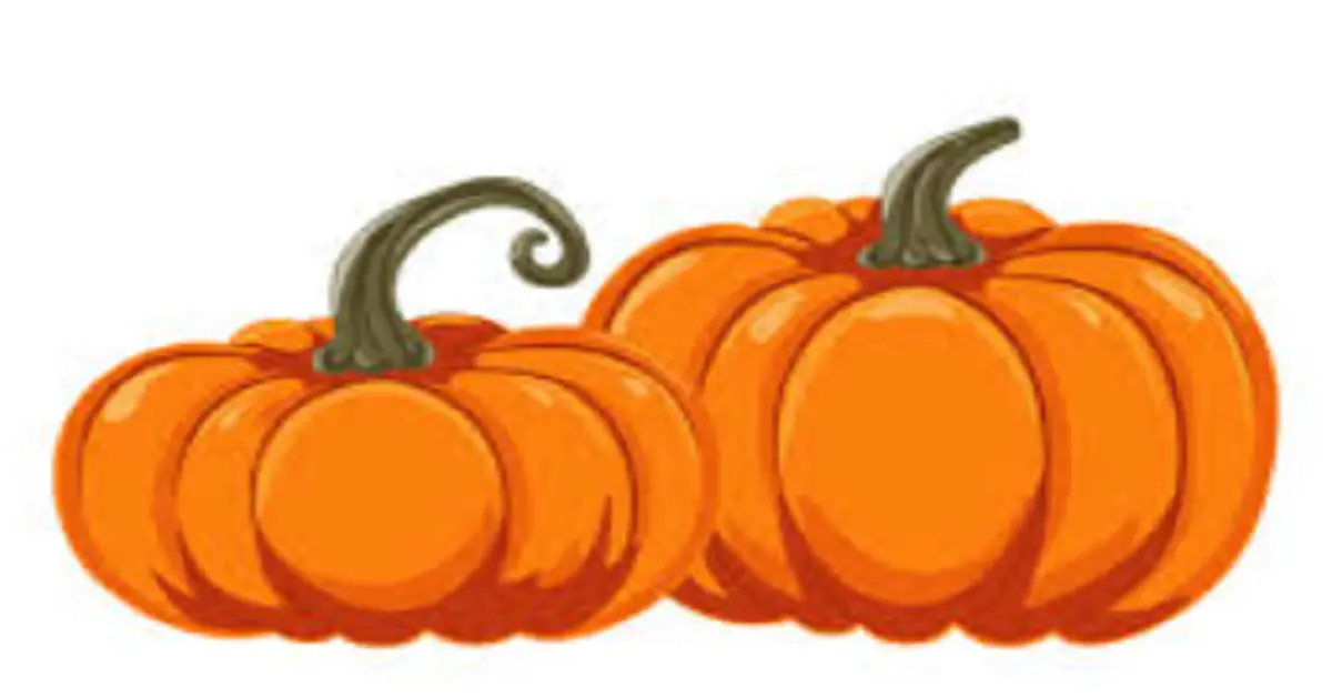 The Pumpkin: More Than Just a Halloween Icon