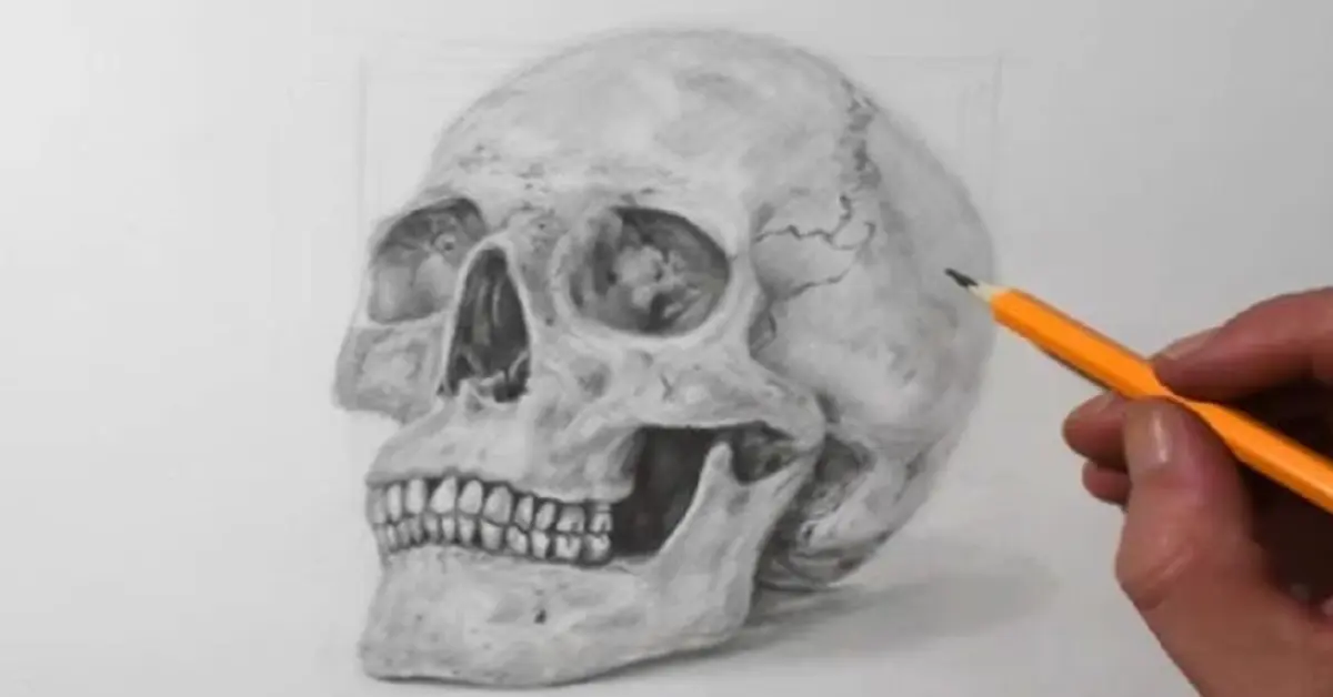 The Fascinating World of drawing = skull