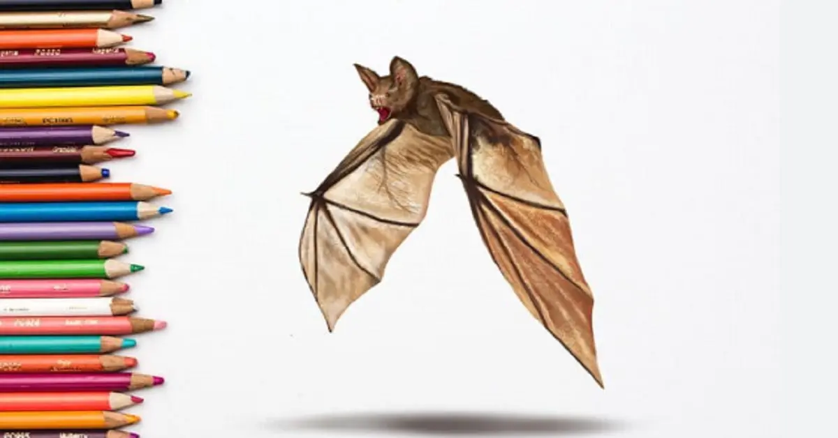 Drawing:j-4gl6tcz24= bat: Mastering the Art of Bat Illustrations